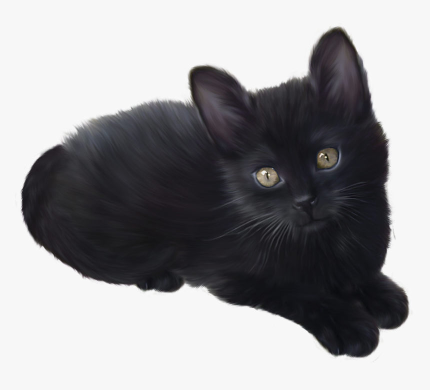 Black Kitten Transparent Background, HD Png Download, Free Download