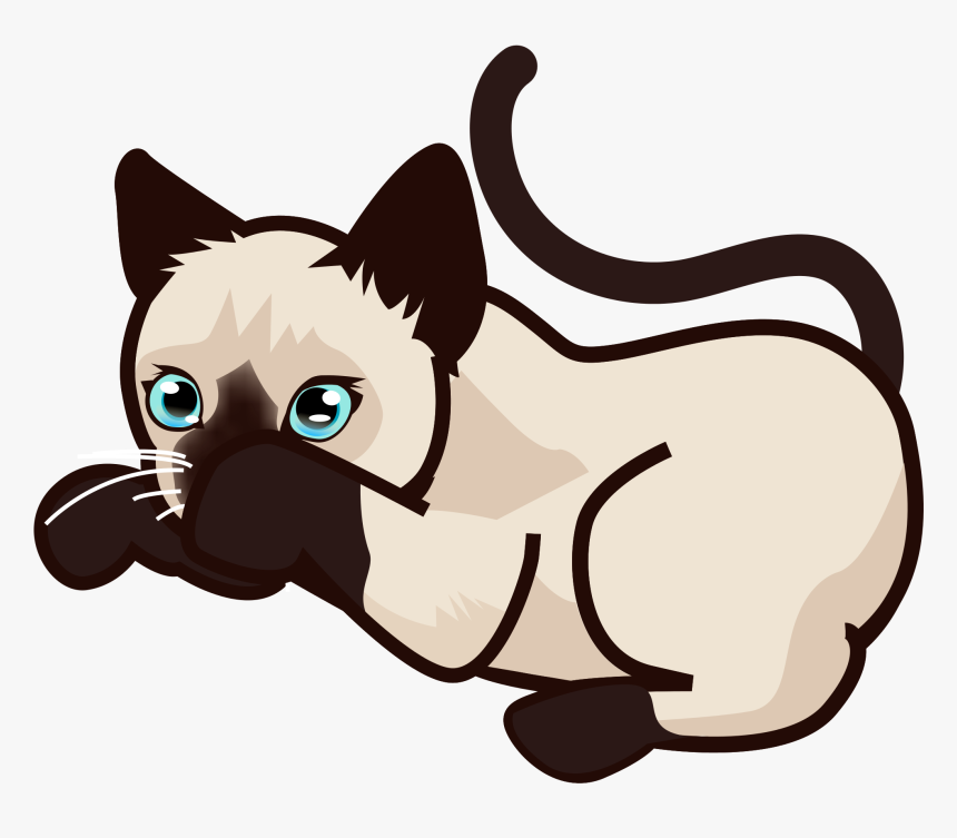Calico Cat Clipart 6 Of Siamese - Siamese Cat Clipart Png, Transparent Png, Free Download