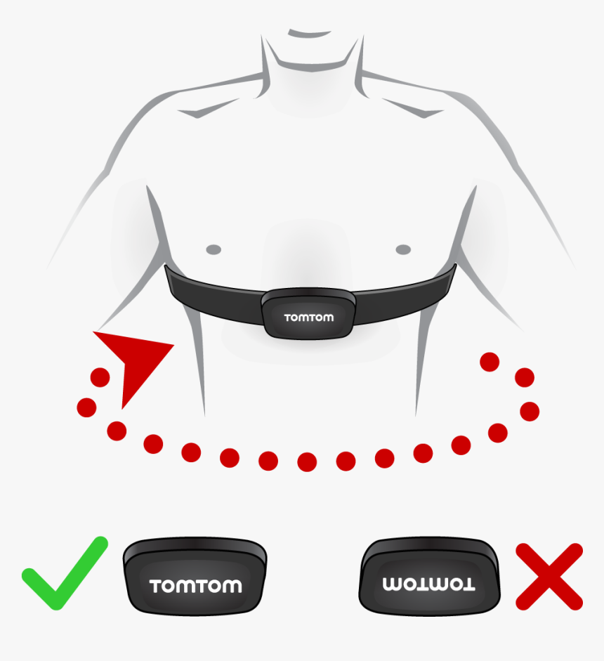 Heartbeat Monitor Png, Transparent Png, Free Download