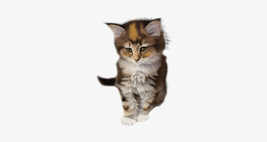 Cartoon Clipart Calico Kitten Transparent, HD Png Download, Free Download