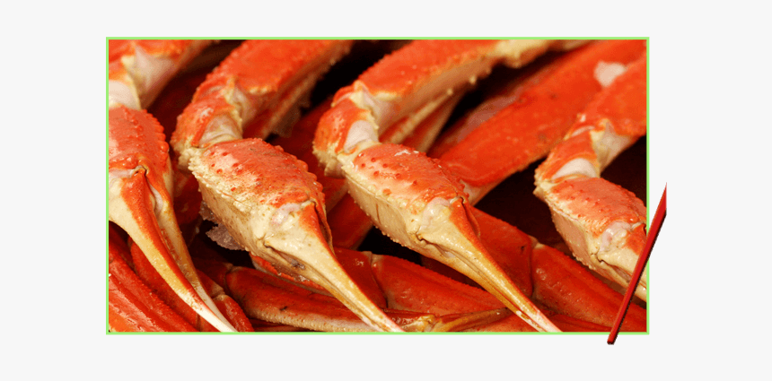 Seafood Buffet, HD Png Download, Free Download