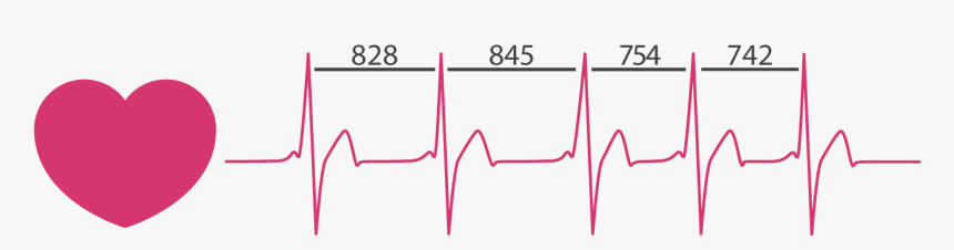Heart Rate Variability Graph - Heart Rate Variability, HD Png Download, Free Download