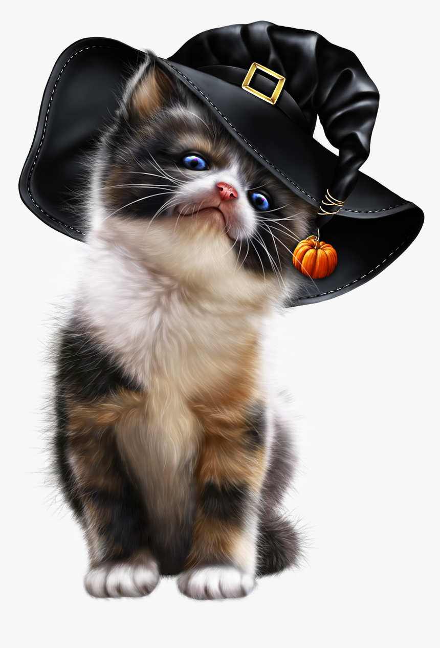 Kitty Clipart Hat - Tube Animaux Halloween Png, Transparent Png, Free Download