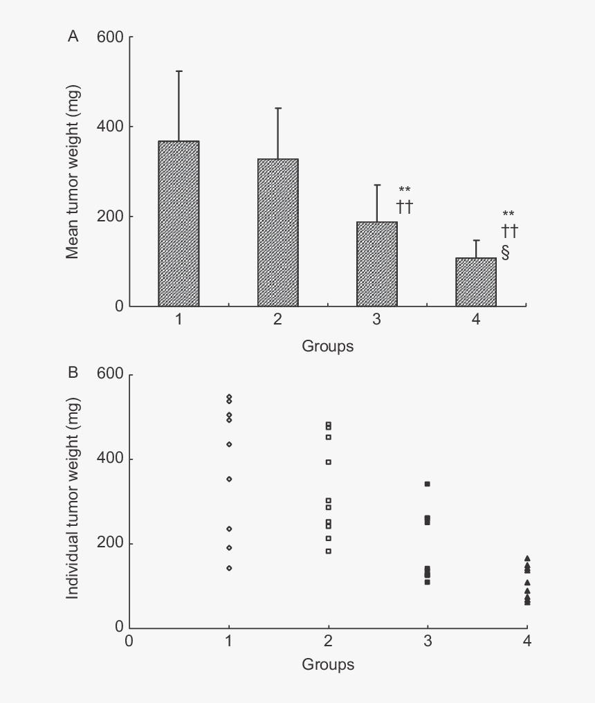 In Vivo Anti Tumor Activity Of Ngr M Ptx On C6 Brain - Smooth Muscle Wound Healing, HD Png Download, Free Download