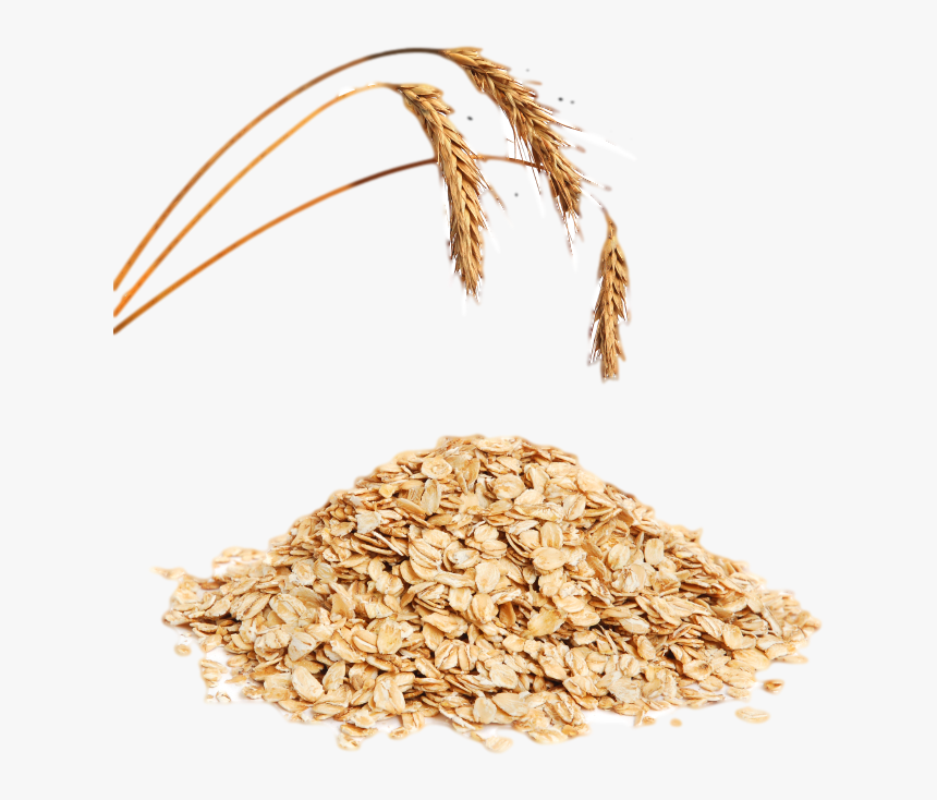 Céréales Avec De L Eau - Oats Png, Transparent Png, Free Download