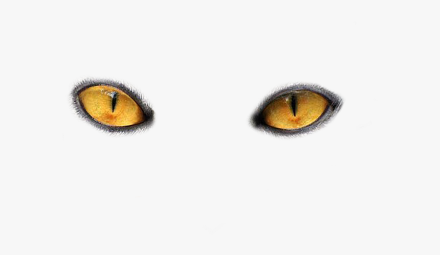 High Eyes Png - Cat Eyes Transparent Background, Png Download, Free Download
