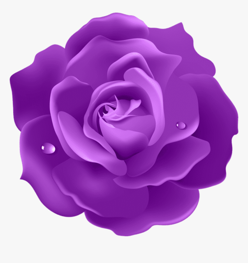 Purple Roses Png - Purple Rose Png, Transparent Png, Free Download