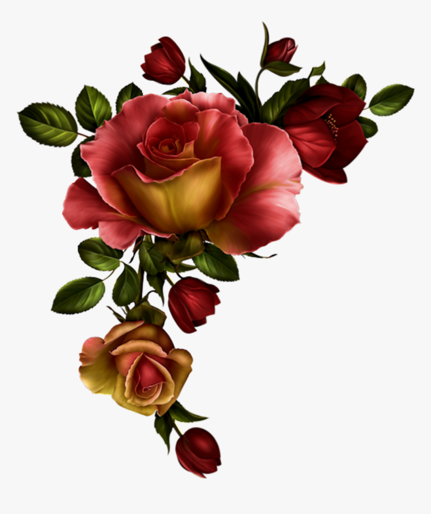Floral Divider Png - Watercolor Red Roses Png, Transparent Png, Free Download