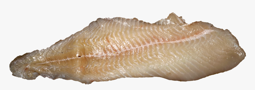 Pike Fillet - Pike Fillet Png, Transparent Png, Free Download