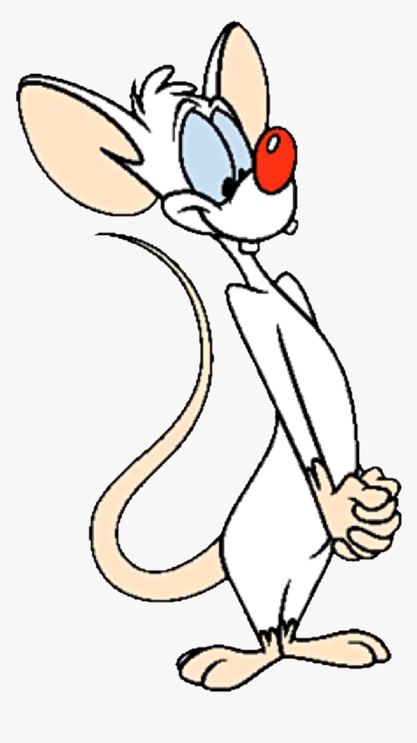 Looney Tunes Wiki - Pinky And The Brain, HD Png Download, Free Download