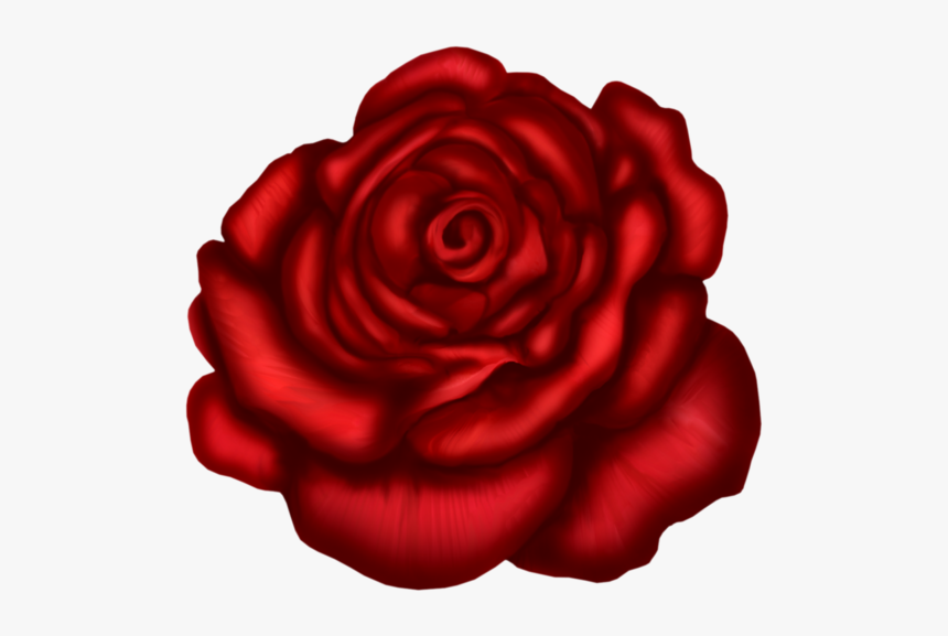 Black Roses Png - Red Rose Art, Transparent Png, Free Download