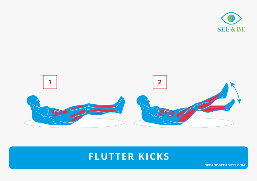 Flutter Kicks Muscle Group, HD Png Download, Free Download