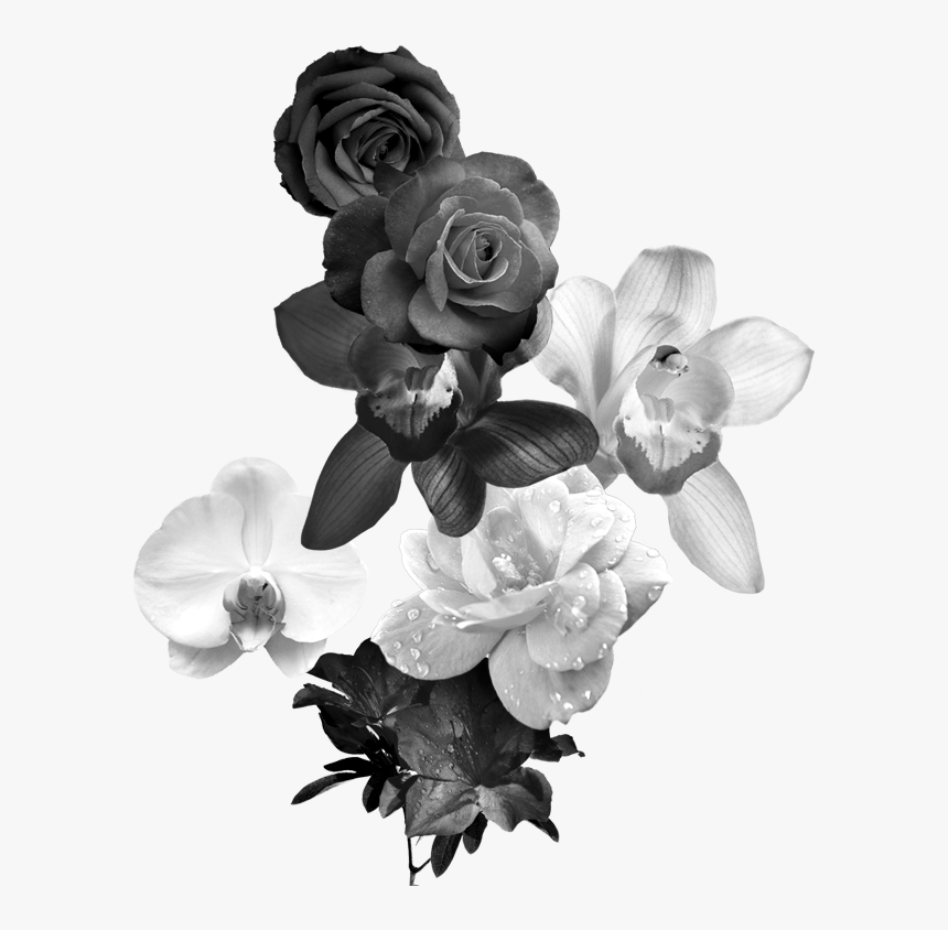 Black And White Flower Monochrome Photography - Black And White Flowers Png, Transparent Png, Free Download