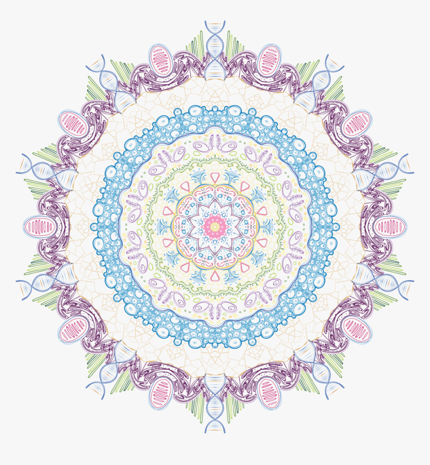 Colored 10-sliced Mandala - Circle, HD Png Download, Free Download