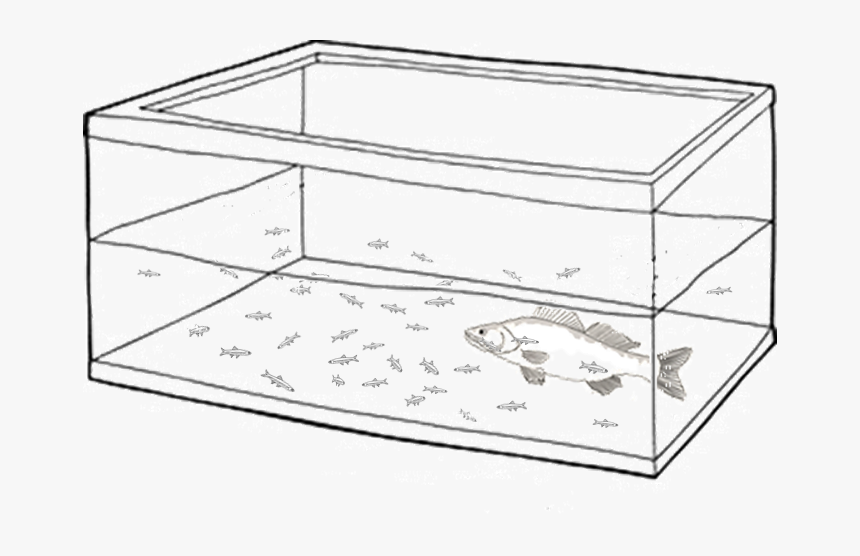 Transparent Fish Tank Clipart - Pike Syndrome, HD Png Download, Free Download