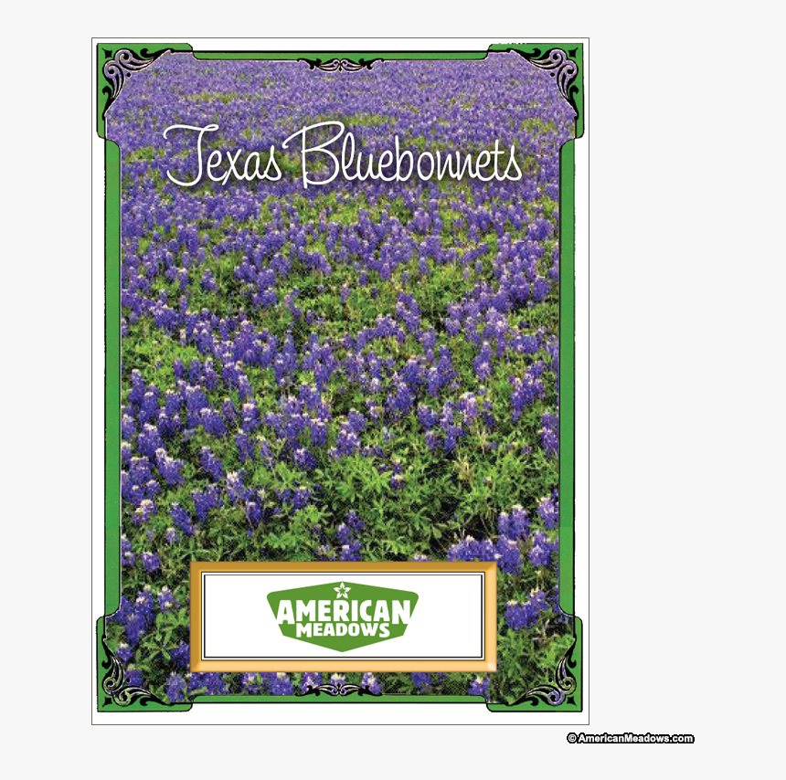 Texas Bluebonnet Seed Packet, HD Png Download, Free Download