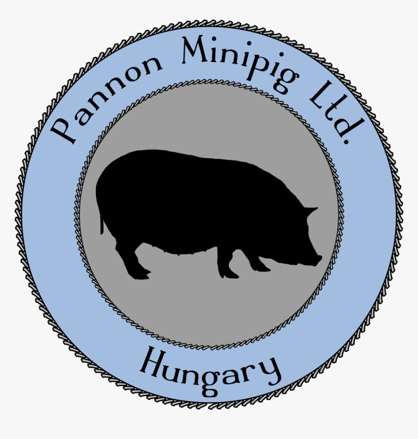 Necklace Clipart , Png Download - Domestic Pig, Transparent Png, Free Download
