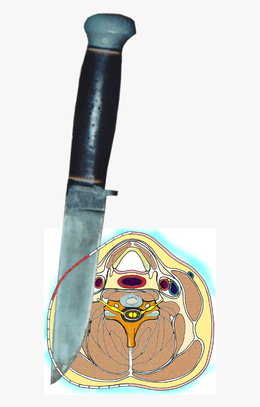 Bowie Knife, HD Png Download, Free Download