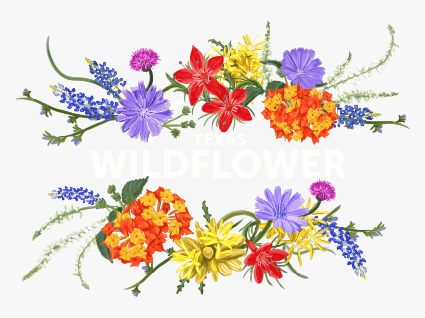 Texas Wildflower Clip Art, HD Png Download, Free Download