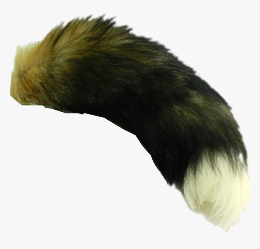 Fox Tails , Png Download - Transparent Fox Tail Png, Png Download, Free Download