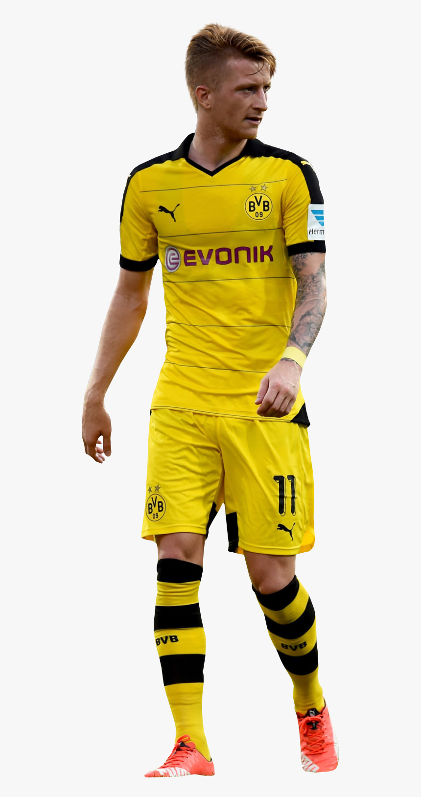 Marco Reus render - Reus Render Png, Transparent Png, Free Download