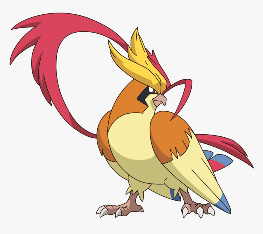 Cockatiel - Mega Pidgeot Pokemon Drawing, HD Png Download, Free Download