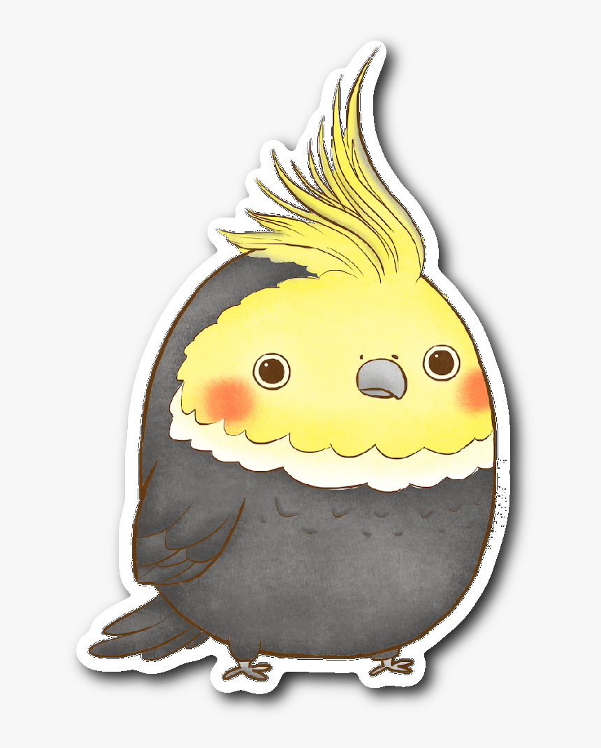 Cockatiel , Png Download - Cockatiel Sticker Png, Transparent Png, Free Download