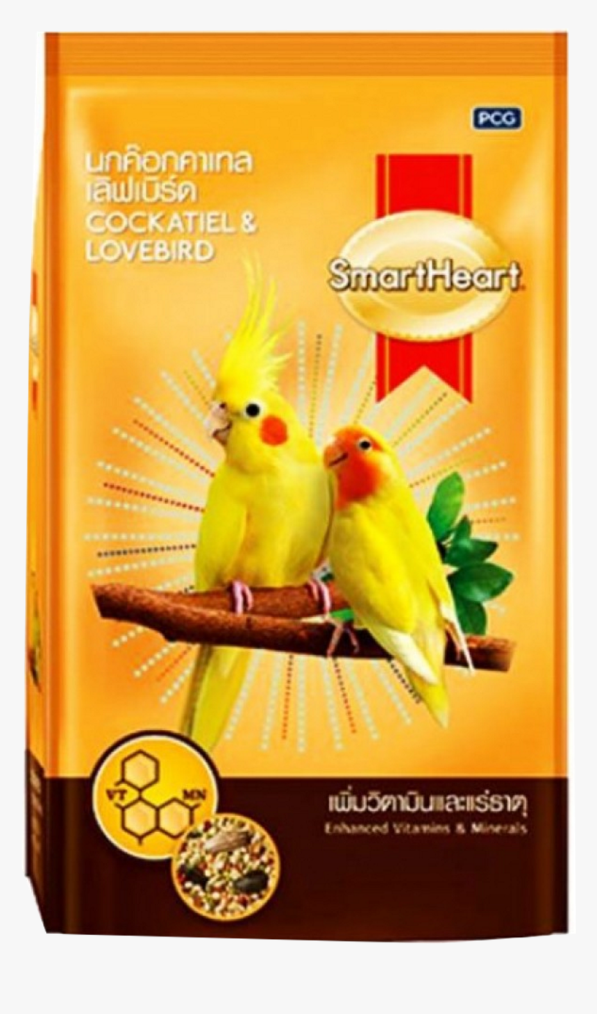 Smartheart Cockatiel, HD Png Download, Free Download