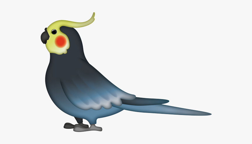 Cockatiel, HD Png Download, Free Download