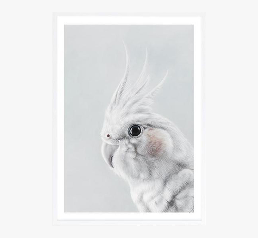 Cockatiel Art Print By The Print Emporium - Cockatiel, HD Png Download, Free Download