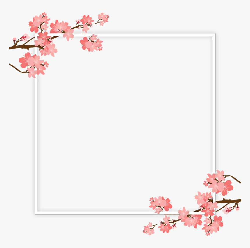 50 Sakura Flower Hd Images Free Download PNG