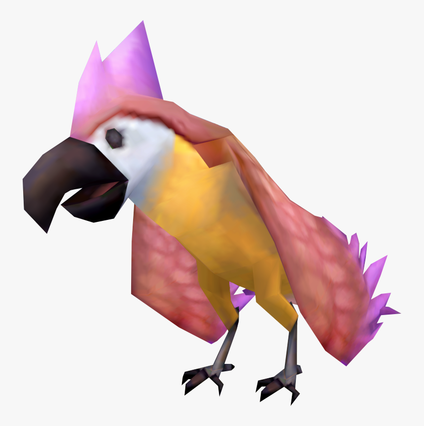 Macaw, HD Png Download, Free Download