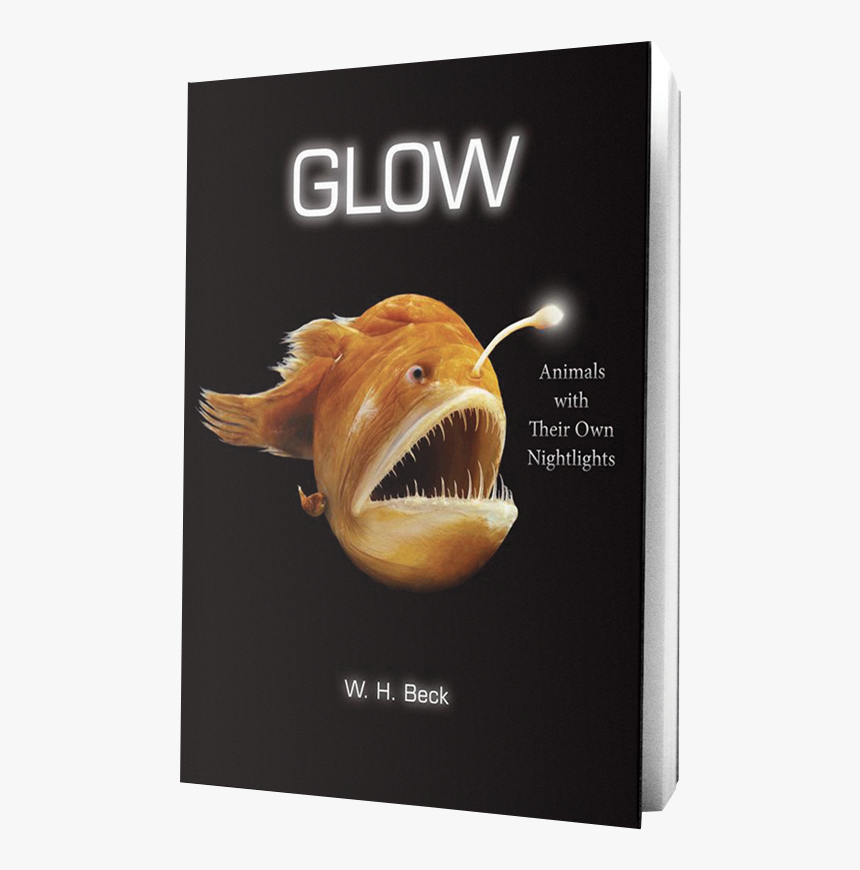 Glow Book On Transparent Background - Glow Animals With Their Own Night Lights, HD Png Download, Free Download