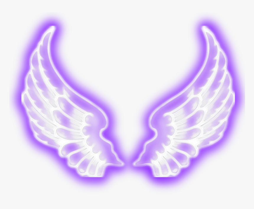 Transparent Angel Wings Png Tumblr, Png Download, Free Download