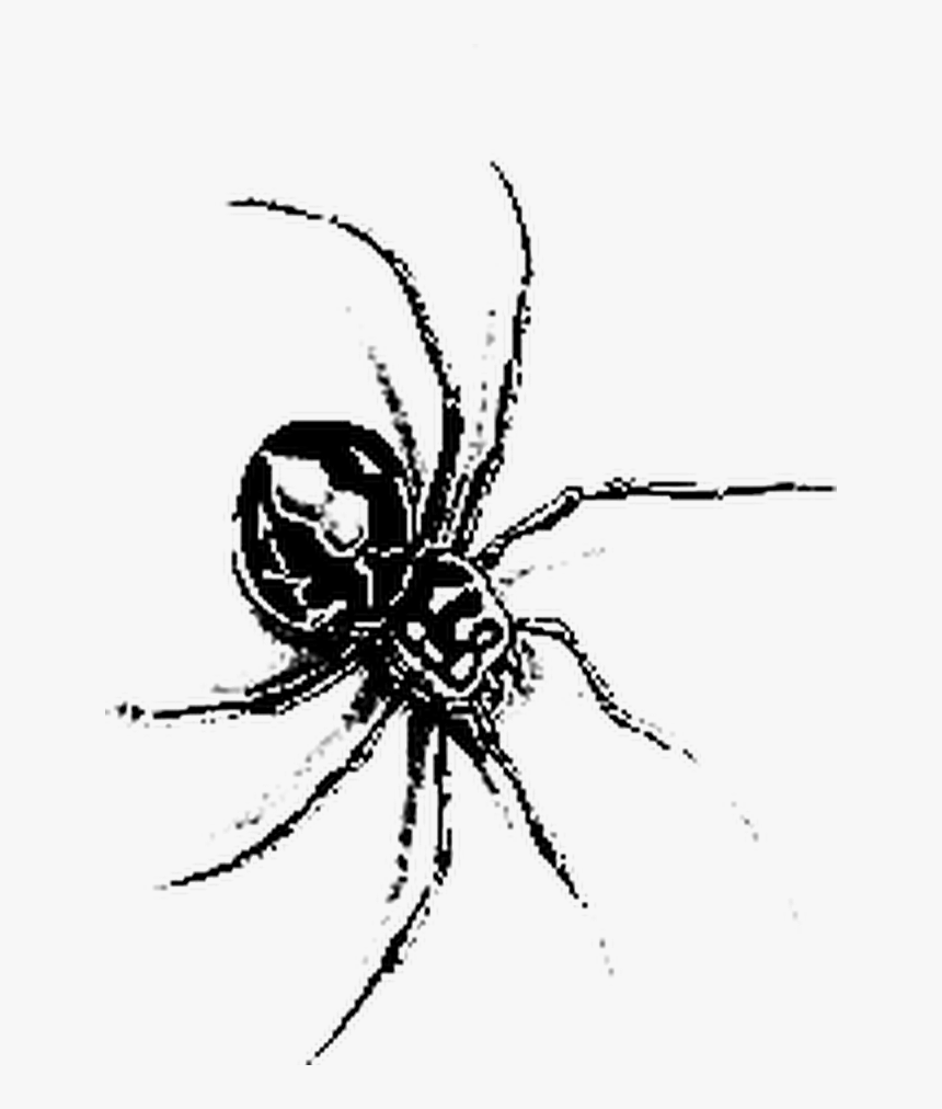 #tattoo #insect #spider, HD Png Download, Free Download