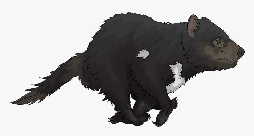 Tasmanian Devil Png, Transparent Png, Free Download