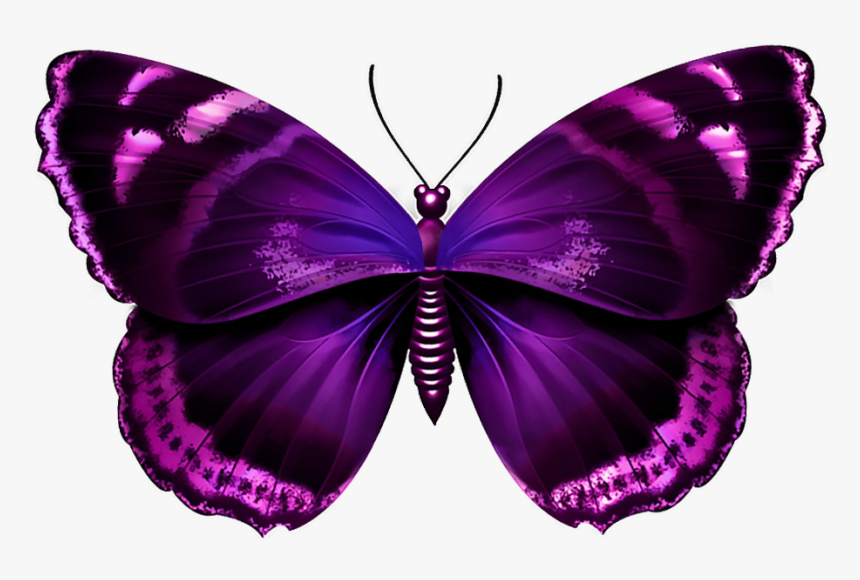 Pink Butterfly Wings Png Download, Transparent Png, Free Download