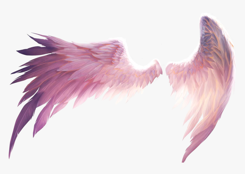 Transparent Angel Wings Png, Png Download, Free Download