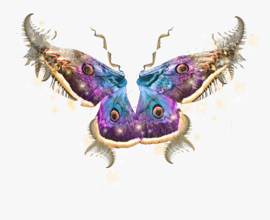 Purple Wings Png, Transparent Png, Free Download