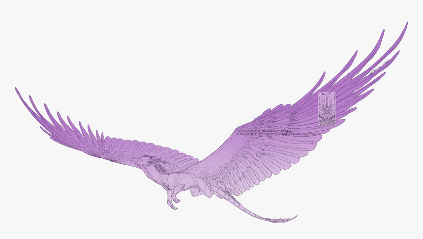 Purple Wings Png, Transparent Png, Free Download