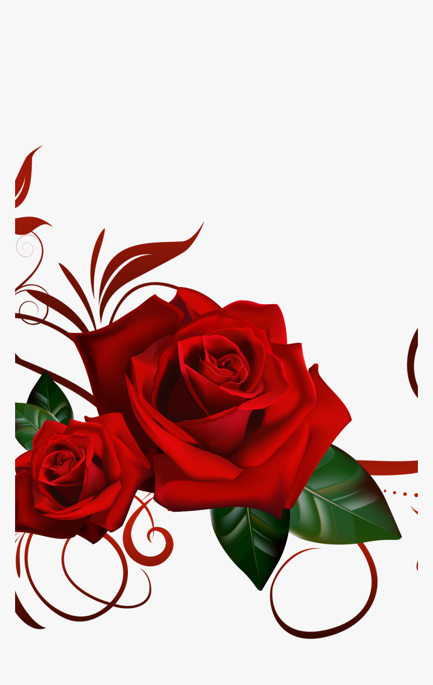 Home Flowers Rose Png Red Rose Image, Transparent Png, Free Download