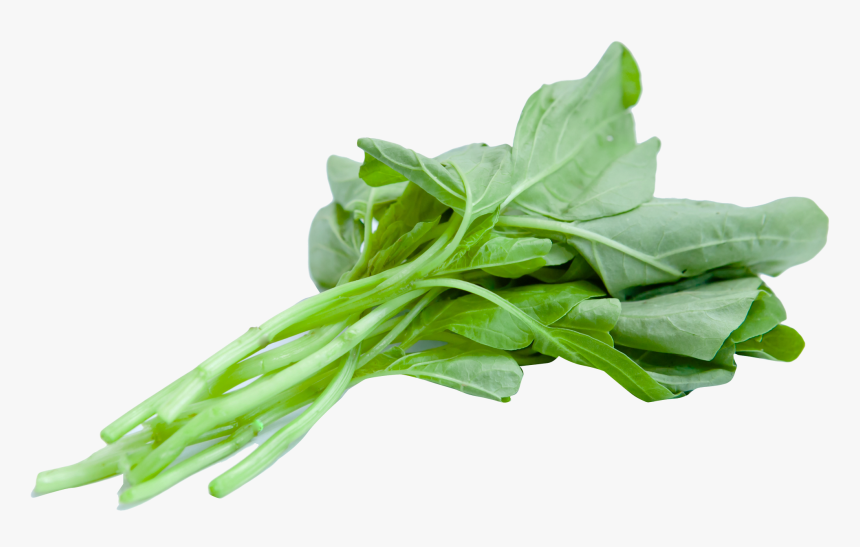 Chinese Spinach Png Image, Transparent Png, Free Download