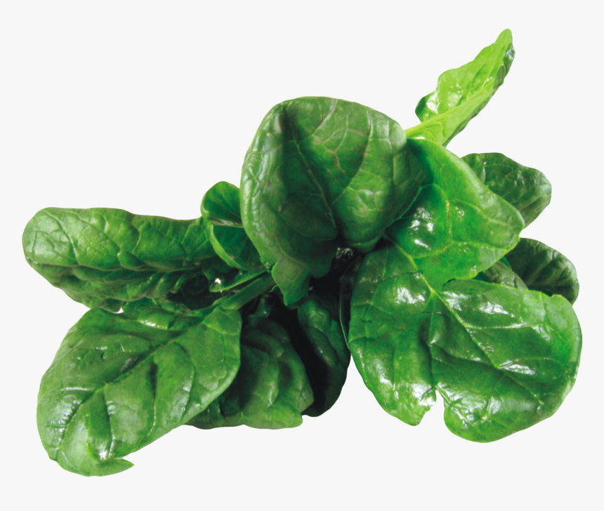 Spinach Png Image, Transparent Png, Free Download