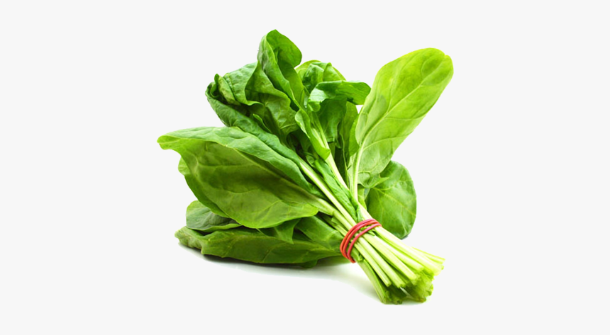 Download Spinach Png Hd For Designing Use, Transparent Png, Free Download