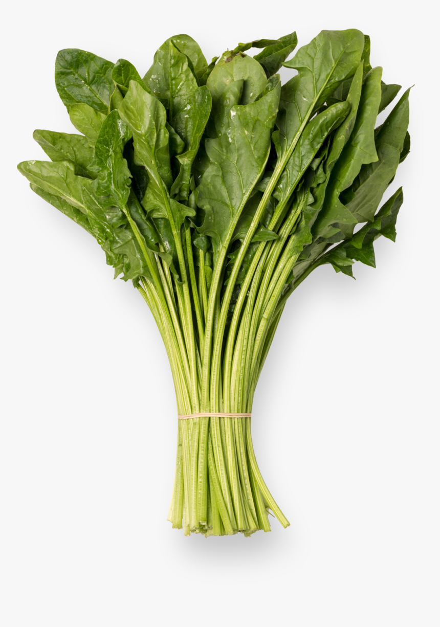 Spinach Leaf Png, Transparent Png, Free Download