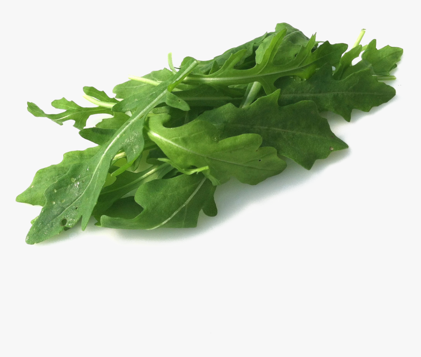 Arugula Png Hd Image, Transparent Png, Free Download