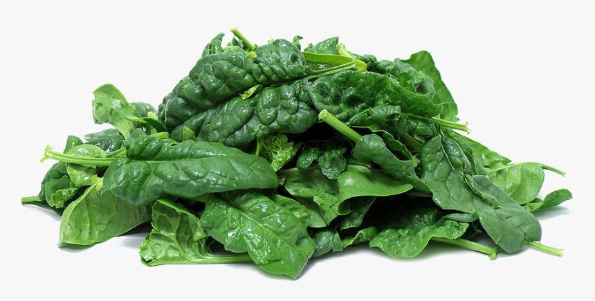 Download Spinach Png Clipart, Transparent Png, Free Download