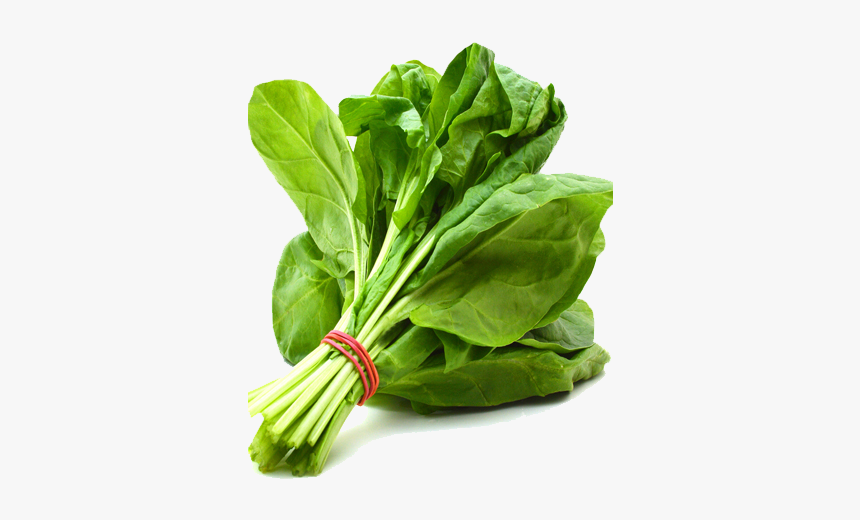 Download Spinach Png Free Download, Transparent Png, Free Download