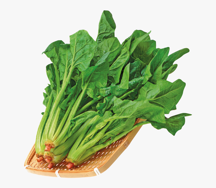 Spinach Png, Transparent Png, Free Download