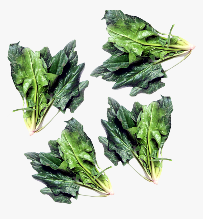 Green Spinach Png Image, Transparent Png, Free Download